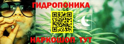 стаф Абакан