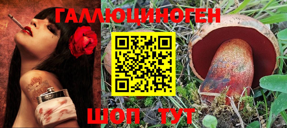 Псилоцибиновые грибы Psilocybe Верхняя Пышма