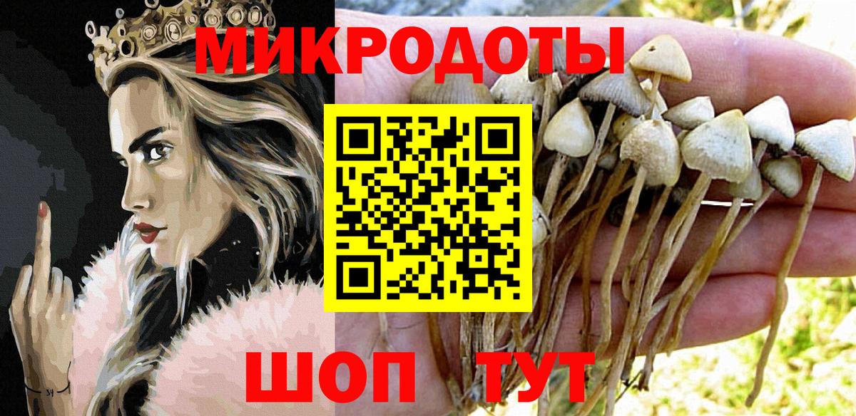 Псилоцибиновые грибы мицелий Верхняя Пышма