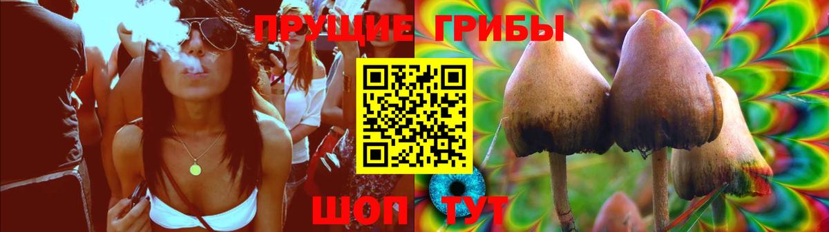 Псилоцибиновые грибы Cubensis  Верхняя Пышма  Галлюциногенные грибы Psilocybine cubensis 